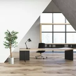 PLANTASIA Kunstbaum Höhe 160 Cm, Ficus, Mit Echtholzstamm -Tischlampen Verkäufe 1e2fd738ec8a950a31c3b28c138f12510bb60d5b kunstbaum plantasia hoehe 160 cm