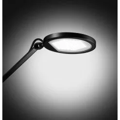 Waldmann Schreibtischlampe PARA.MI FTL 102 R LED, Dimmbar, Schwarz, Doppelgelenkarm, Rund -Tischlampen Verkäufe 30c5ed3aaaea40953f75c08281494306afe9cd6a schreibtischlampe waldmann para.mi ftl 102 r led