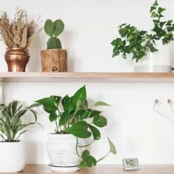 TFA Thermo-Hygrometer 30.5055.02, Innen, Digital, Weiß -Tischlampen Verkäufe 46bcef221250c3b0ffba0ab066a030d9032bbcdf thermo hygrometer tfa 30.5055.02 innen