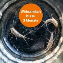 ARDAP Silberfischfalle Silberfischchen-Köderdose, Fraßköder, Wirkt Bis Zu 3 Monate, 4 Stück -Tischlampen Verkäufe 553d3b1c651e44c1132a58dba582f4eca12342d1 silberfischfalle ardap silberfischchen koederdose