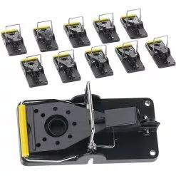 Böttcher-AG Mausefalle Profi, Schlagfalle, 10 Stück