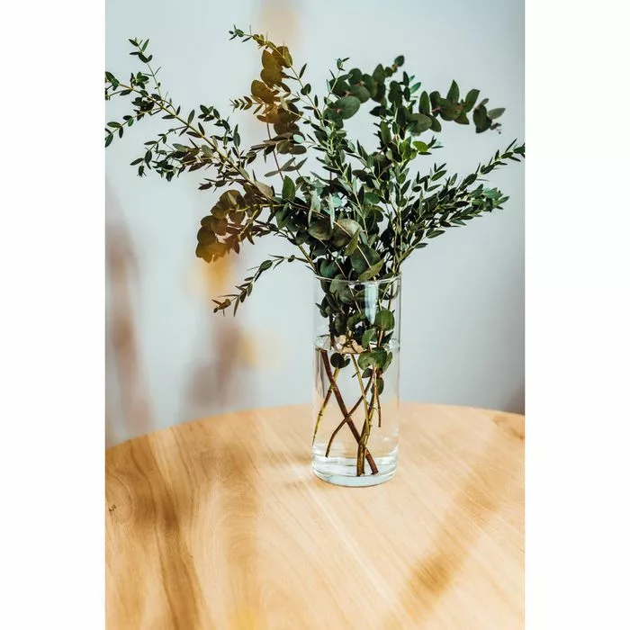 Montana Vase 028882 :basic, Glas, Tischvase, Rund, Höhe 26 Cm 2 Montana Vase 028882 :basic, Glas, Tischvase, Rund, Höhe 26 Cm – Bild 2