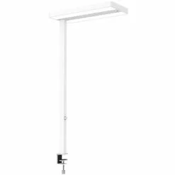 Maul Schreibtischlampe Mauljuvis Sensor LED, Dimmbar, Bewegungs- Und Lichtsensor, Tischklemme