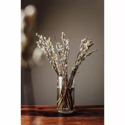 Montana Vase 028882 :basic, Glas, Tischvase, Rund, Höhe 26 Cm 5 Montana Vase 028882 :basic, Glas, Tischvase, Rund, Höhe 26 Cm -Tischlampen Verkäufe b6927fe121e7598b6e1b8b63f46da79e4bbda0f7 vase montana 028882 basic glas